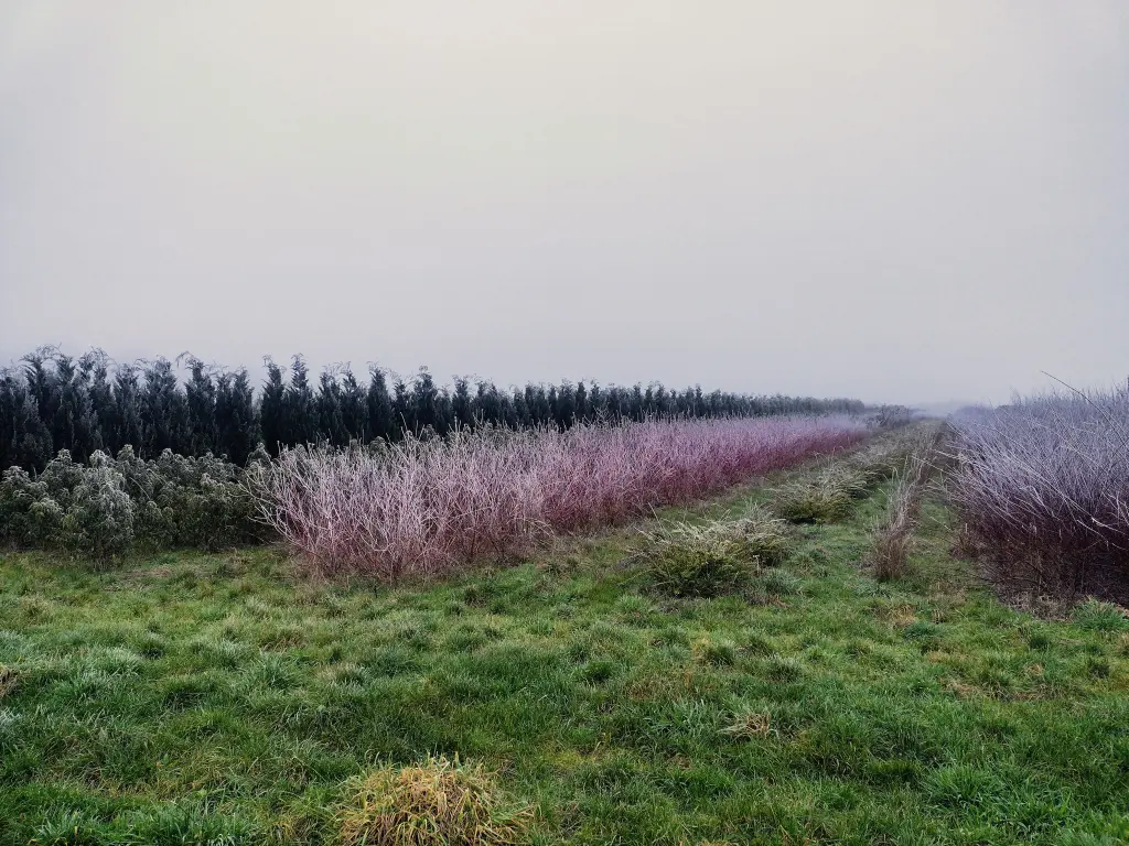 Andachtsbild von Corinna 💜