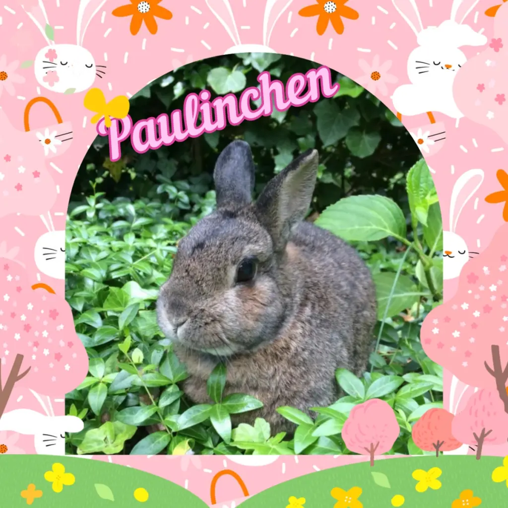 Condolence image of 💐Frohe Ostern 💐 Paulinchen❤️