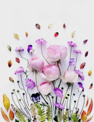 Condolence image of *•.¸🌺¸.•* Himmlische Geburtstagsgrüße*•.¸🌺¸.•*