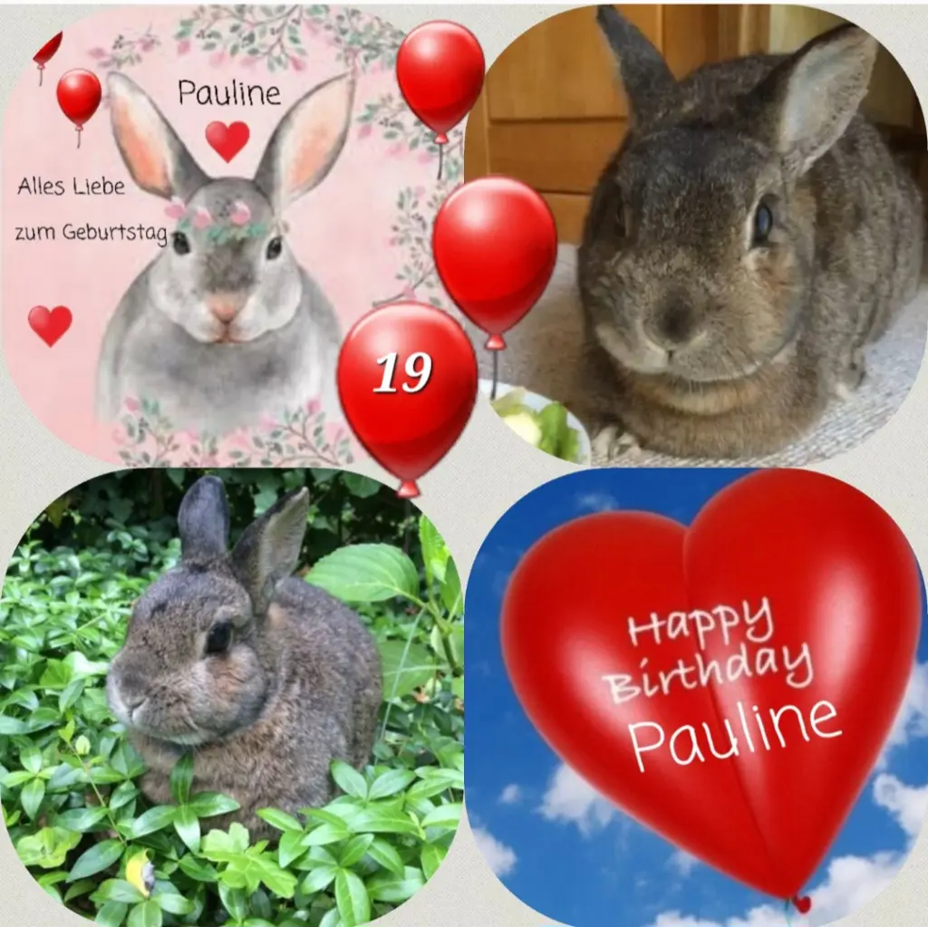 Condolence image of Rosen für Pauline zum 19. Geburtstag ♥️