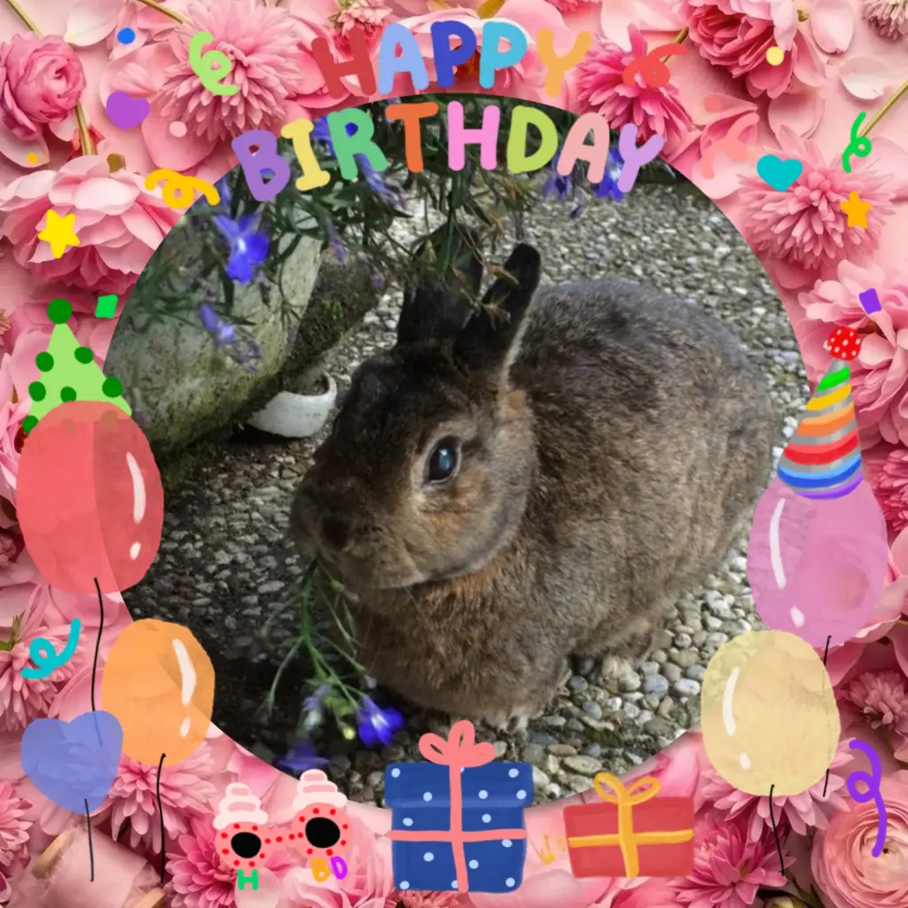 Condolence image of ❤️19. Geburtstag Pauline Kuggelblitz Sternchen ❤️