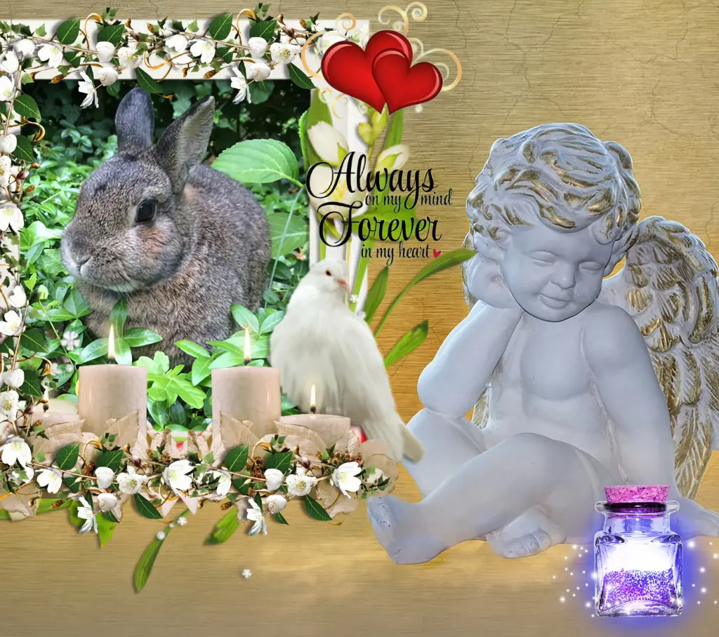 Condolence image of 8.Sternchen⭐️Gedenktag❤️❤️❤️🙏🙏🙏🌹🌹🌹🐰❤️⭐️🙏🙏🙏
