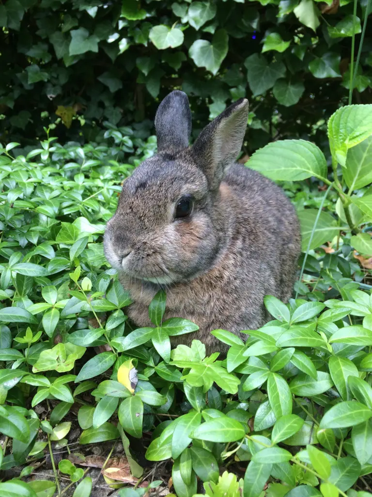 Bild von Pauline 