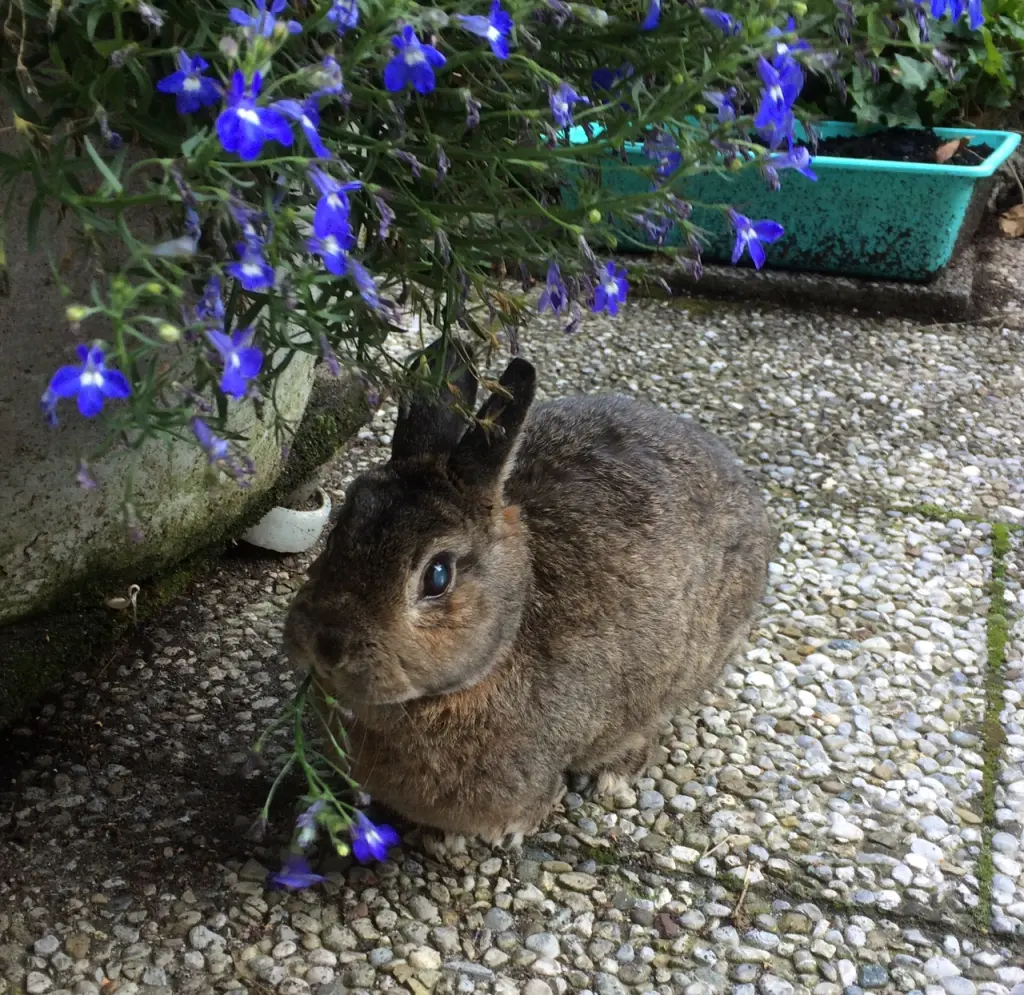 Bild von Pauline 