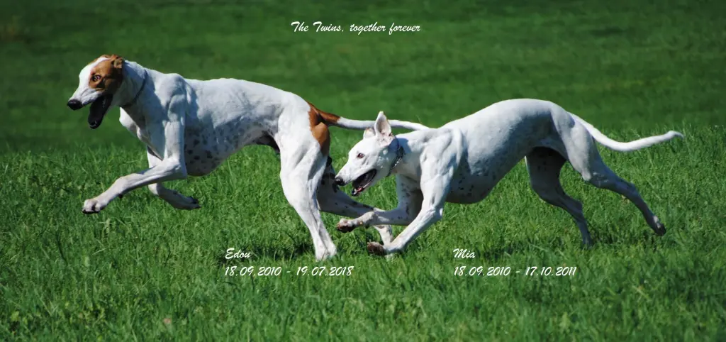 Image from Edu