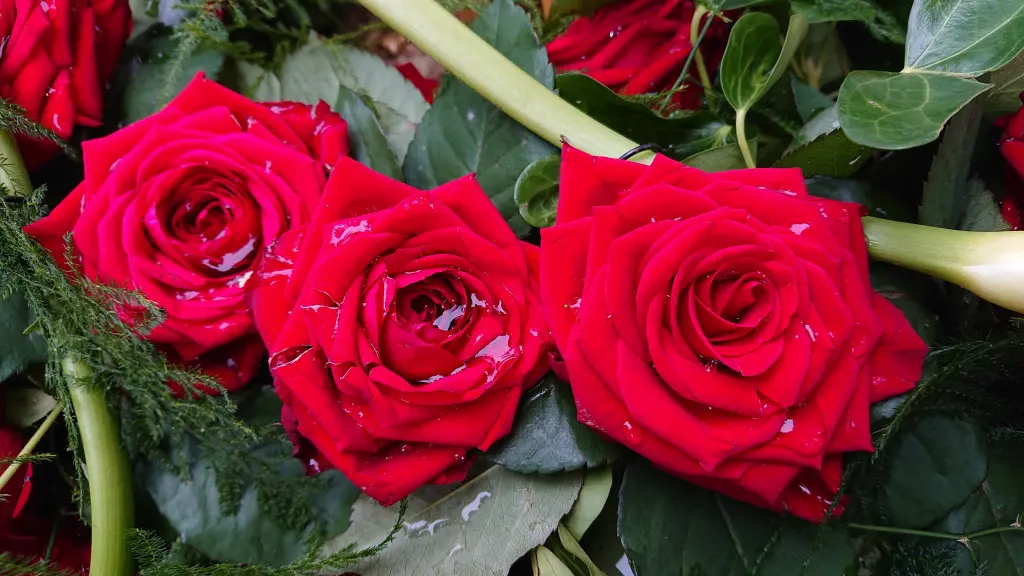 Condolence image of Tanja