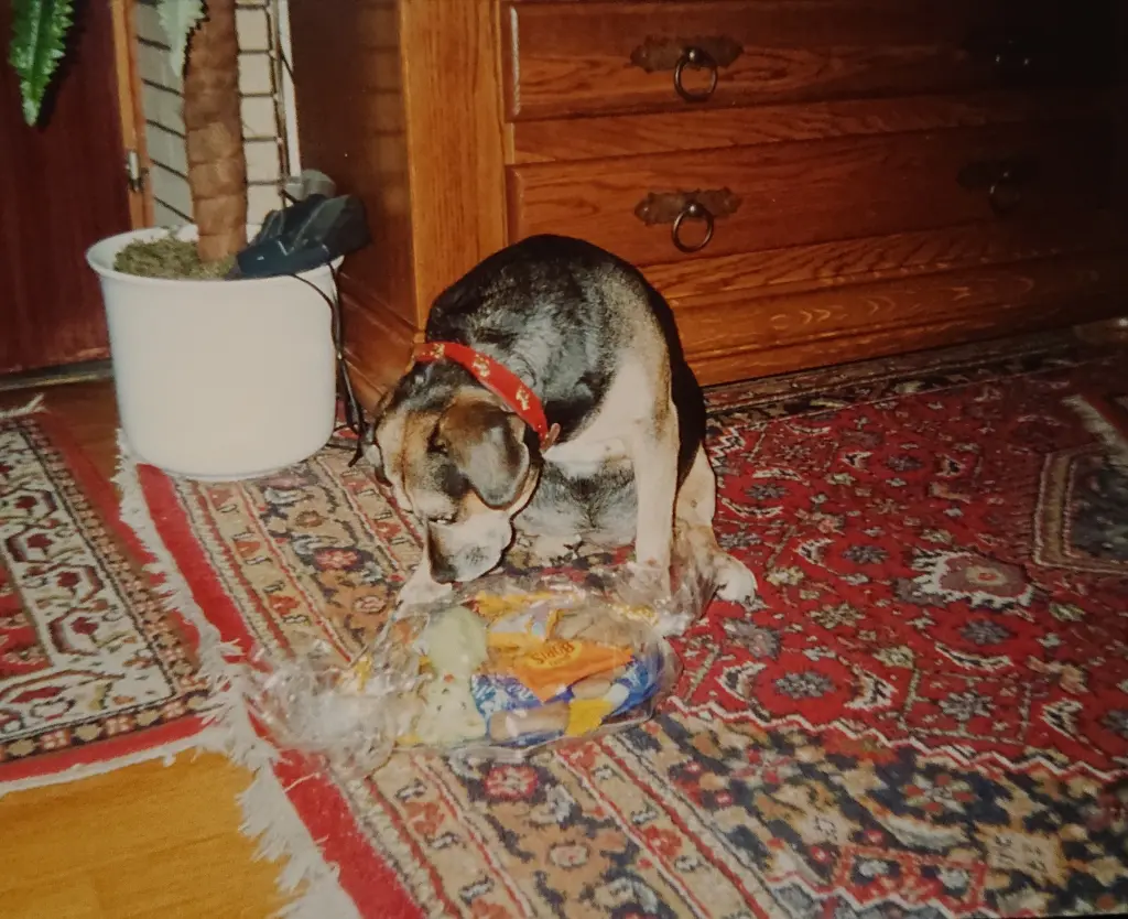 Condolence image of Tanja