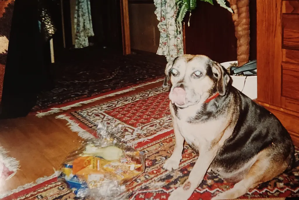 Condolence image of Tanja