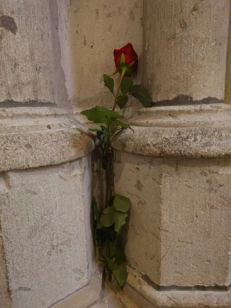 Condolence image of Tanja