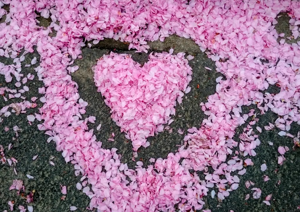 Condolence image of Tanja