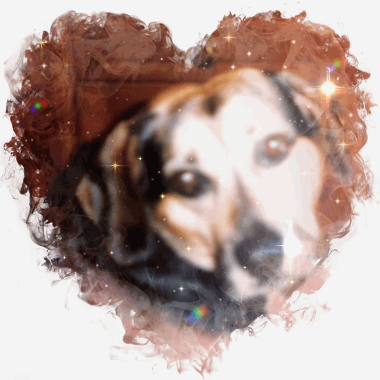 Condolence image of Tanja