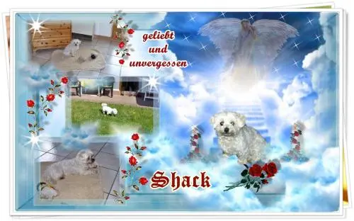 Image from meinen kleinen Schmusebär