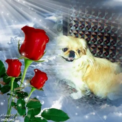 Image from SINA