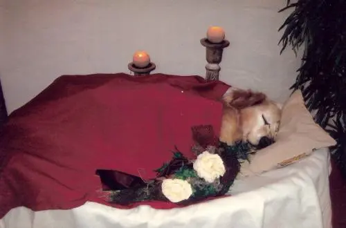 Image from Terry vom Sirius