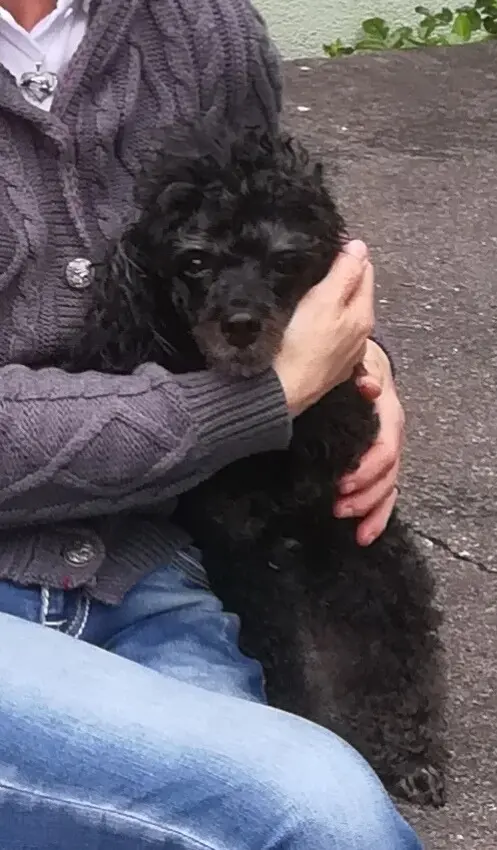Condolence image of Elke