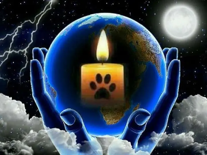 Condolence image of Sabine