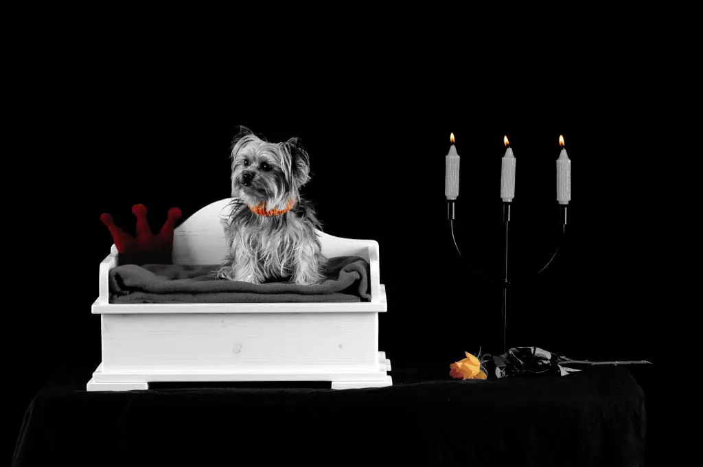 Andachtsbild von Iris Kellner