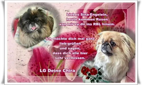 Image from mein zauberhaftes Sina-Sternchen