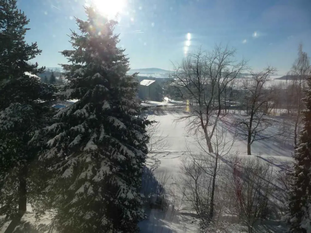 Condolence image of Uschi mit Seelenkatzen Jojo und Merlin