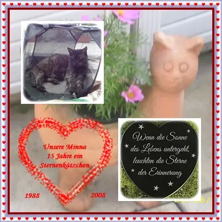 Condolence image of deiner Ilse in Liebe zum 15. Jahresgedenktag