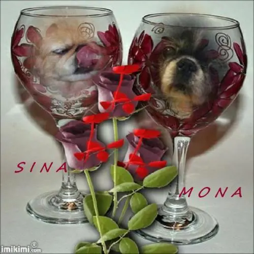 Image from meine geliebte Sina und Mona