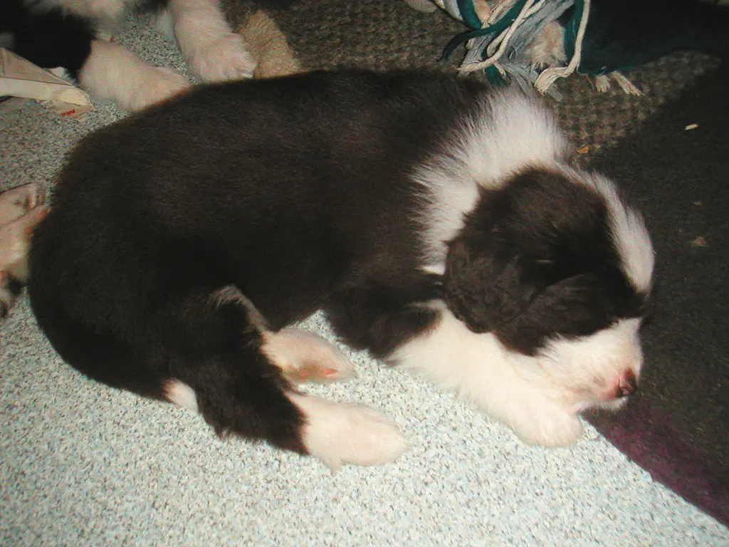 Condolence image of Bea