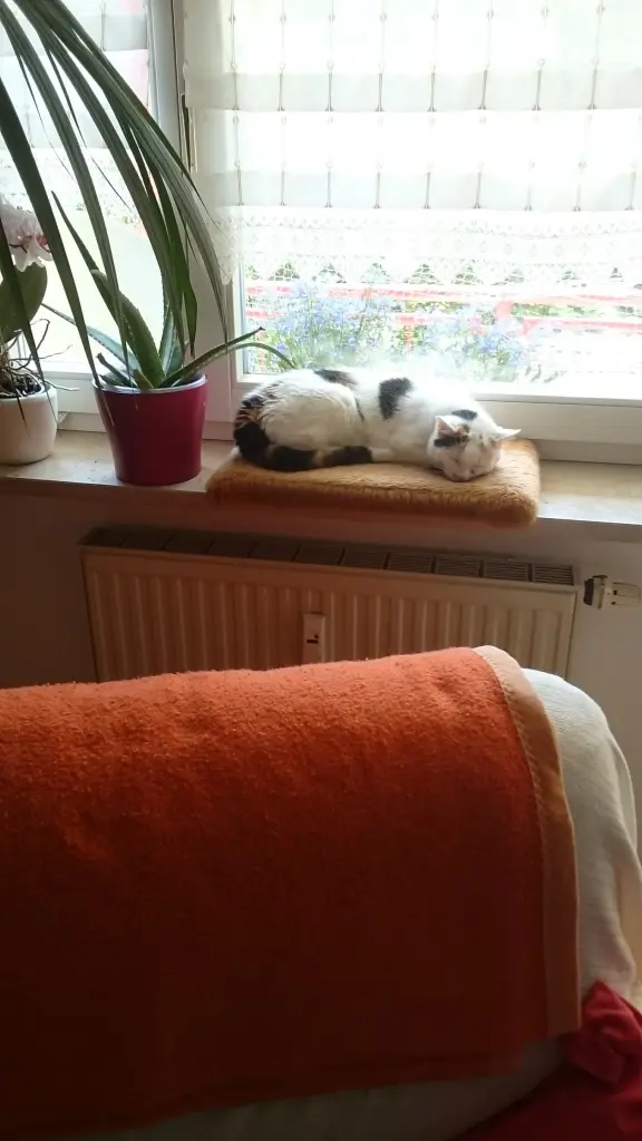 Image from Sunny