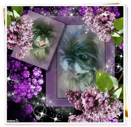 Image from meine geliebte Sina