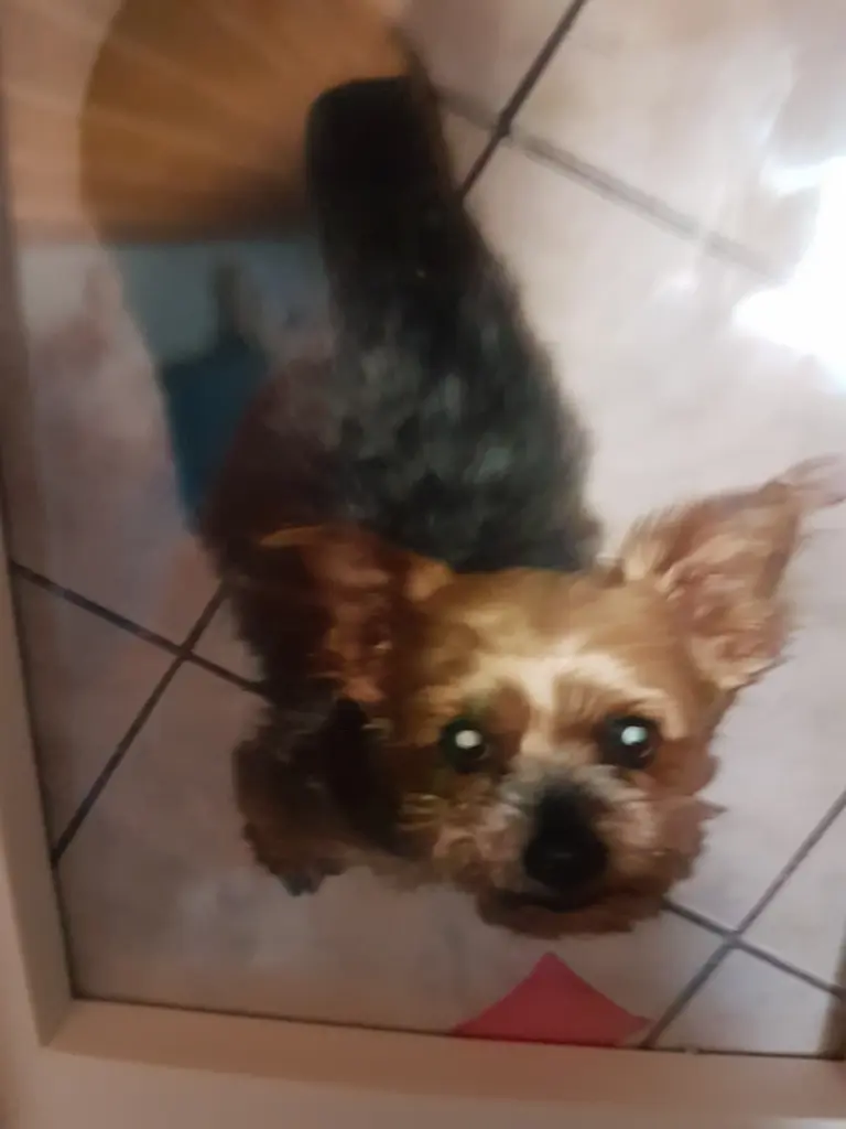 Condolence image of Rena