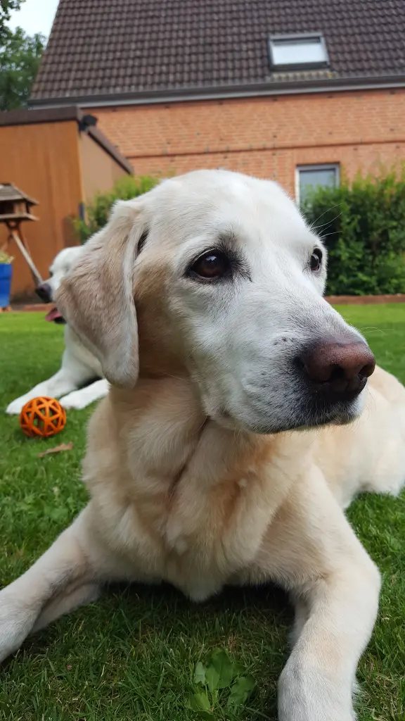 Andachtsbild von Inis Sönke