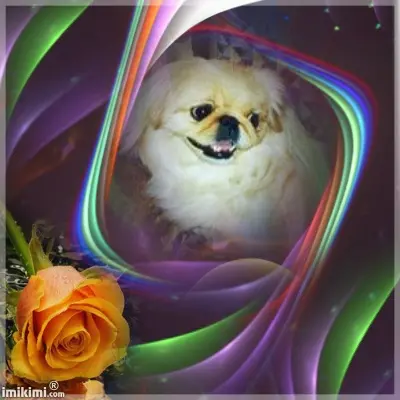 Image from meine geliebte Sina