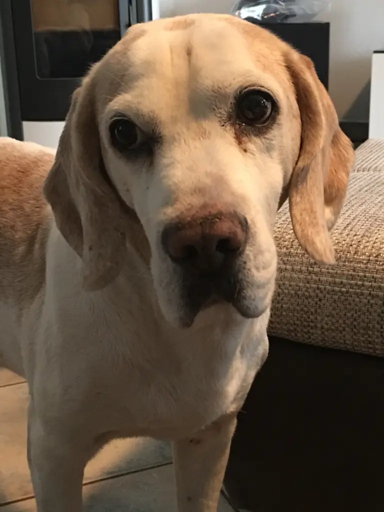 Andachtsbild von Edyta 