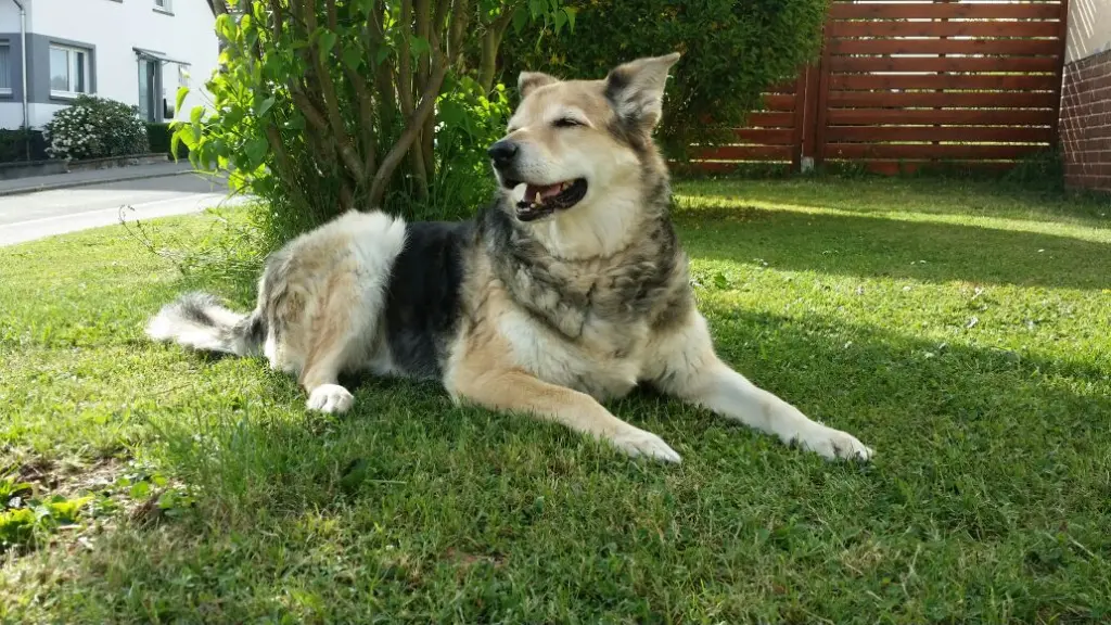 Condolence image of Christine