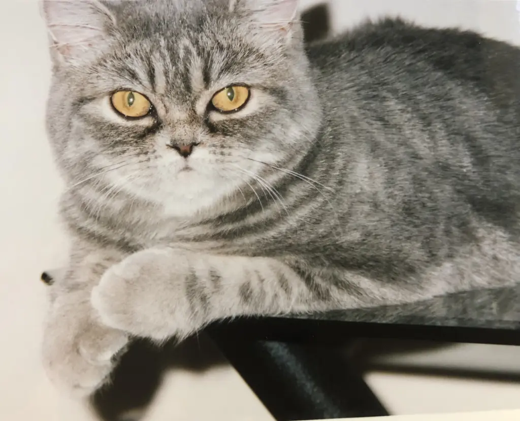 Condolence image of Nadia