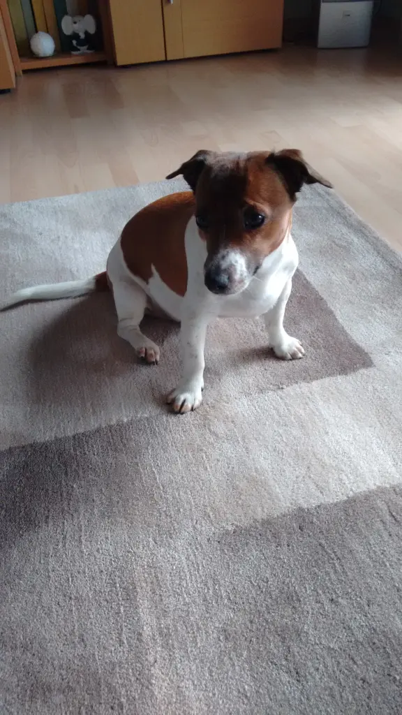 Andachtsbild von Natalie mit Maggy