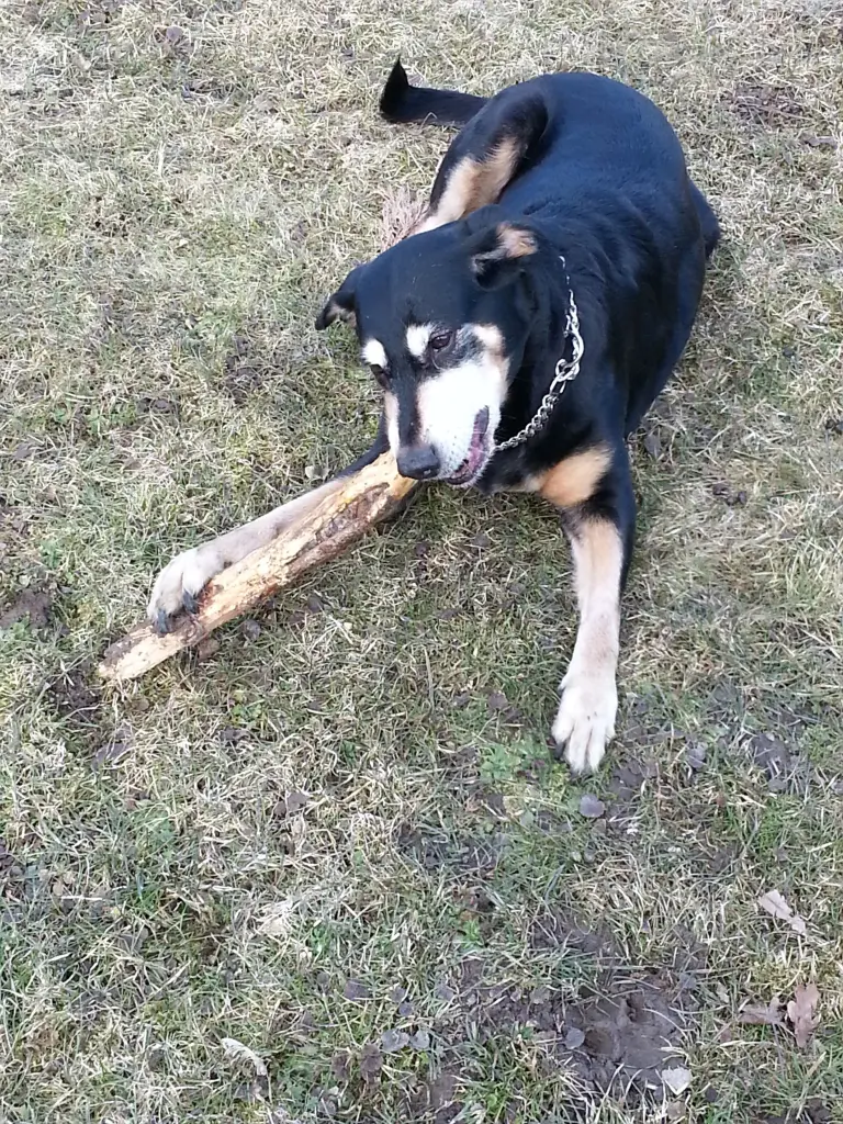 Andachtsbild von Björn