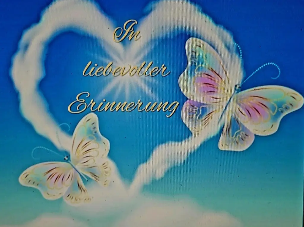 Condolence image of ❤️🌹Für Snowy🌹❤️