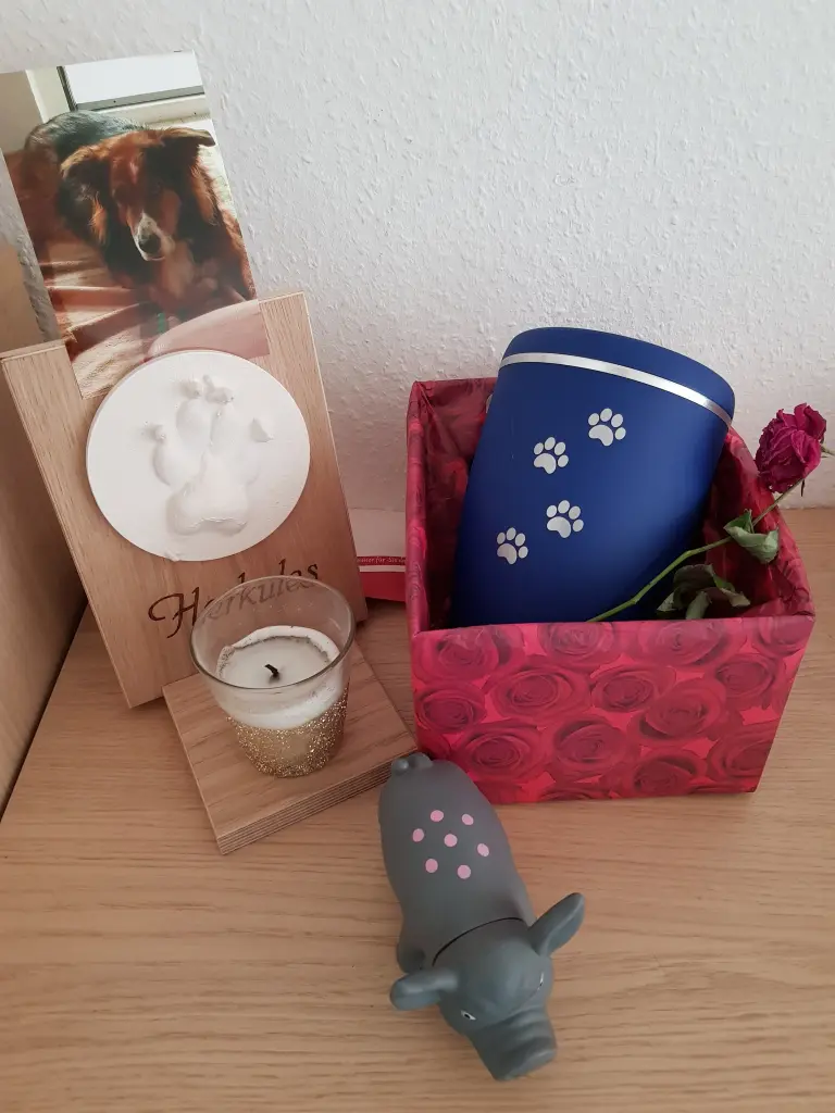 Image from Herkules