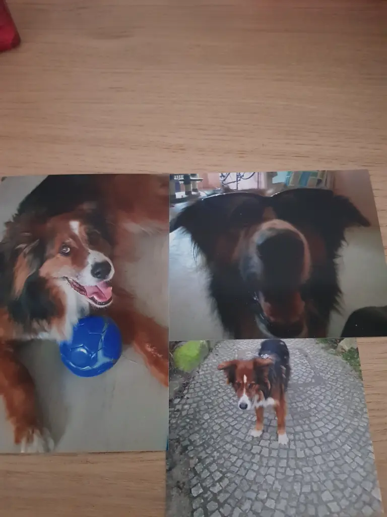 Image from Herkules