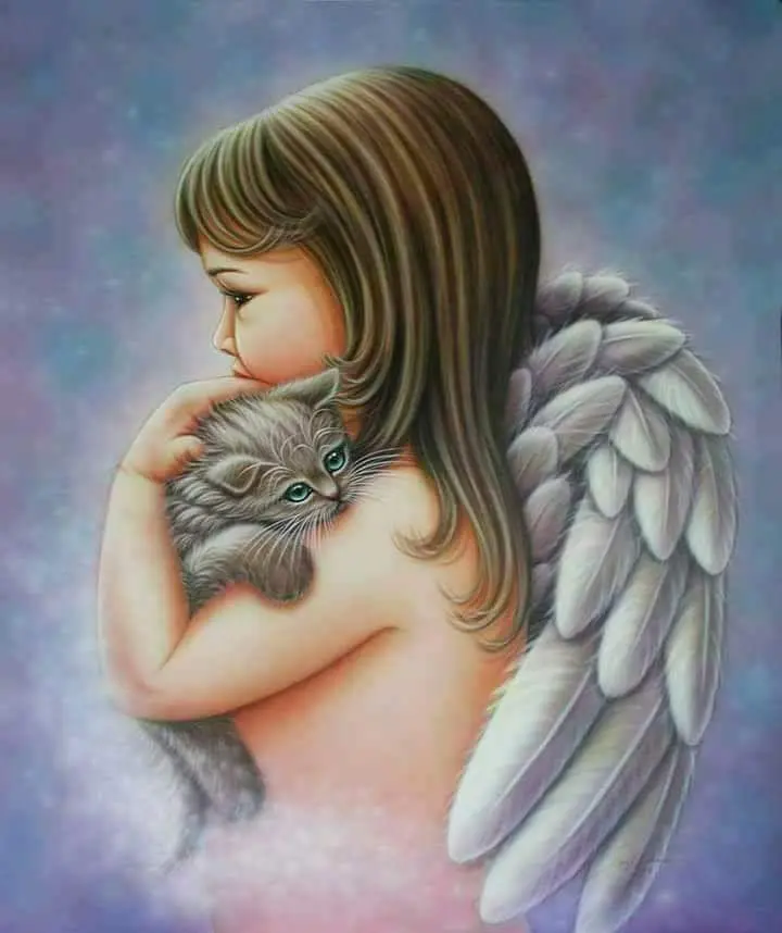 Condolence image of Tanja Knop