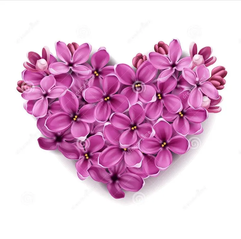 Condolence image of ❤ Für Nala 