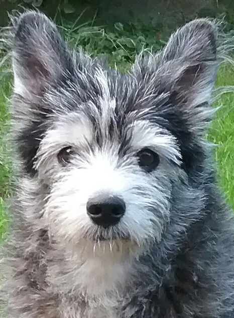 Condolence image of Sabine