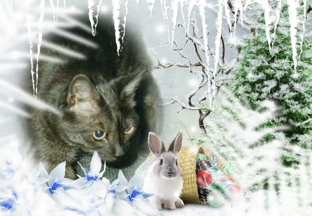 Condolence image of Fur Liebe Minna❤