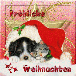 Condolence image of Weihnachtspost