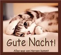 Condolence image of Nelly und Freunde, Regenbogenland