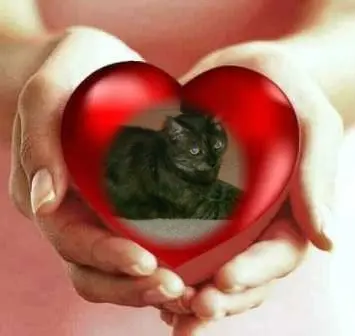 Condolence image of Sonntags Rosen❤️fur Liebe Minna❤️