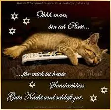 Condolence image of Brigitte mit Nelly, Benny und Axel im Herzen