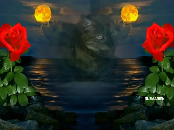 Condolence image of ❤️❤️❤️