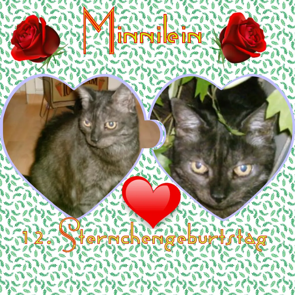 Condolence image of Eike und Edeltraud mit Mulle, Miezi, Jonny, Felix, Lemmi und Tommi tief im Herzen ❤❤❤❤❤❤