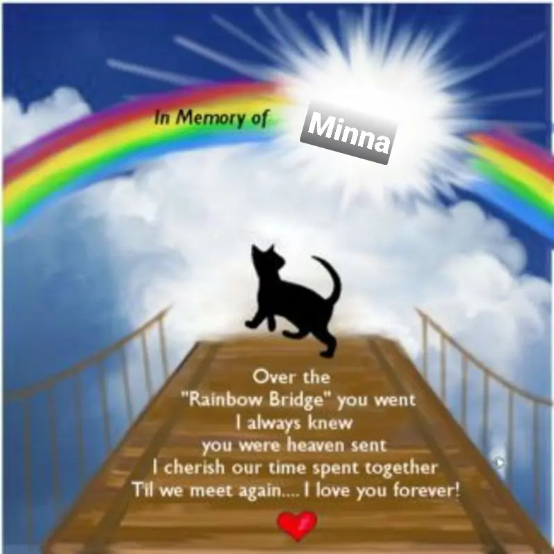 Condolence image of Tanja mit Timmy im Herzen 